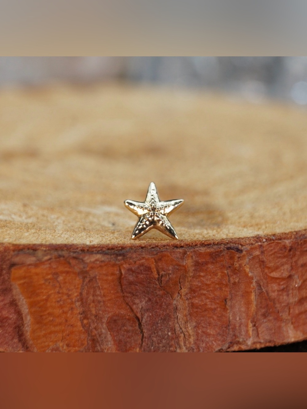 14k Gold Star Fish Threadless End